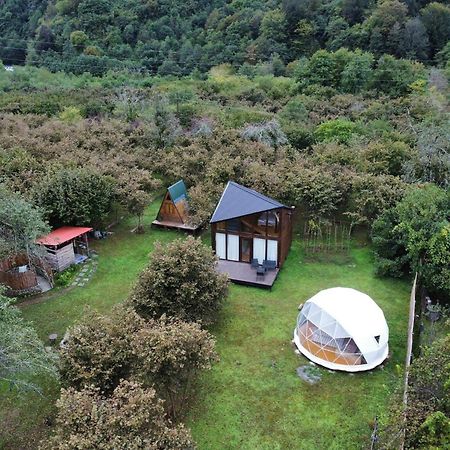 ホテル Dumbo Eco Camp Ozurget'i エクステリア 写真