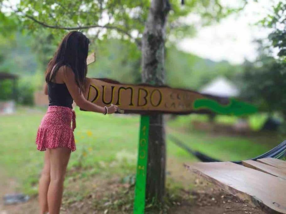 ホテル Dumbo Eco Camp Ozurget'i エクステリア 写真