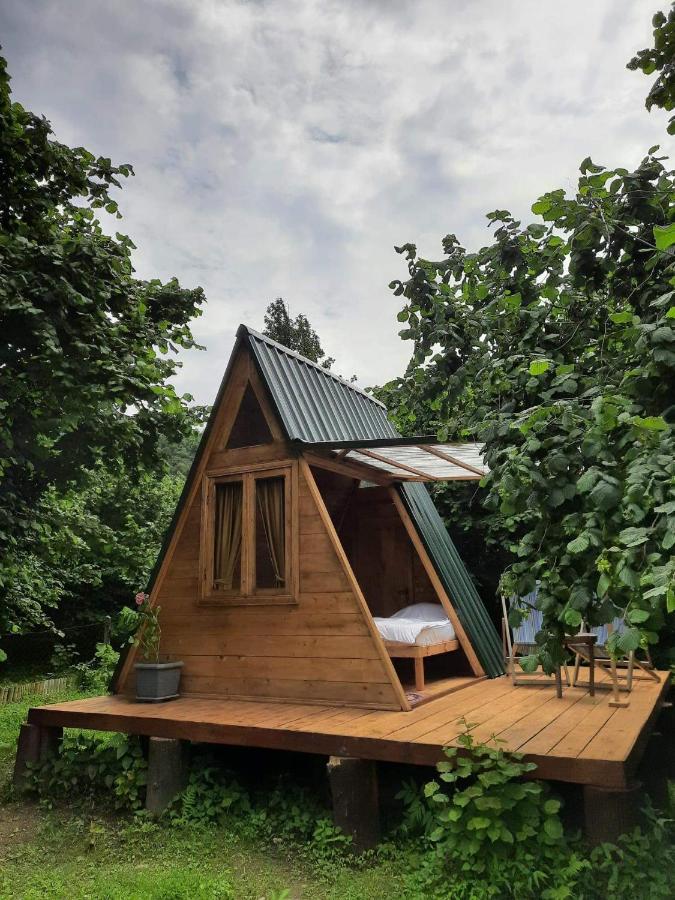 ホテル Dumbo Eco Camp Ozurget'i エクステリア 写真