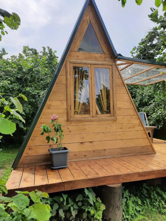ホテル Dumbo Eco Camp Ozurget'i エクステリア 写真