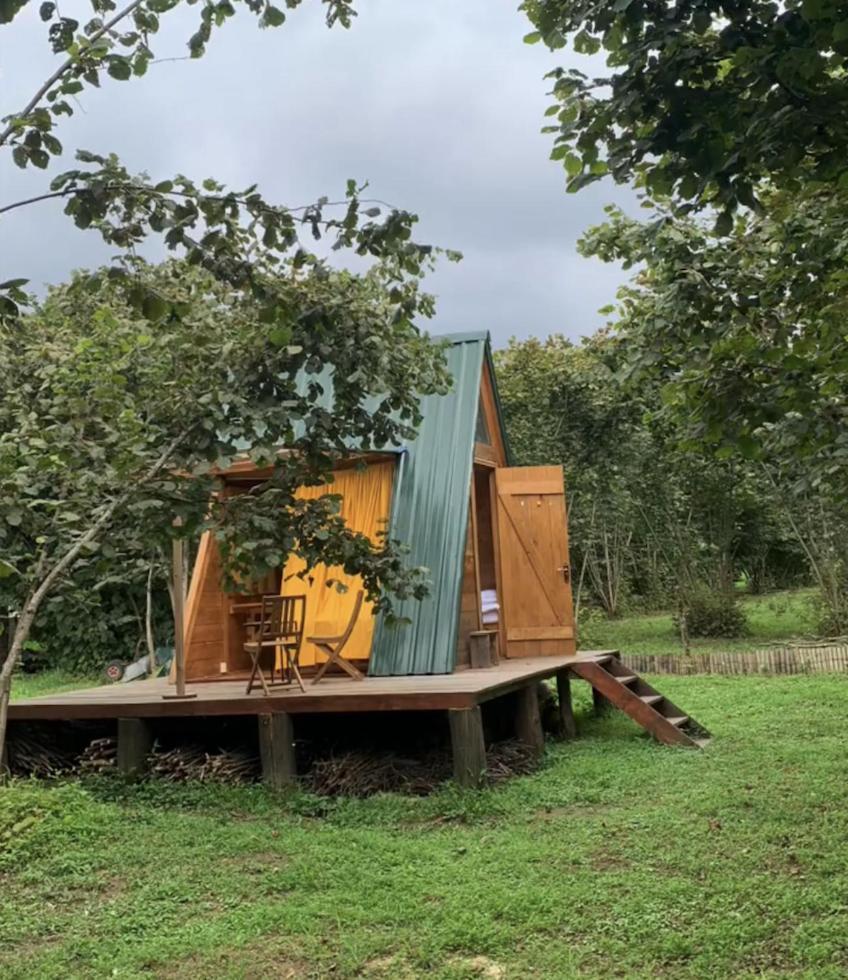 ホテル Dumbo Eco Camp Ozurget'i エクステリア 写真