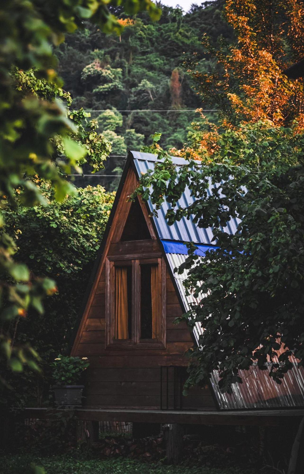 ホテル Dumbo Eco Camp Ozurget'i エクステリア 写真